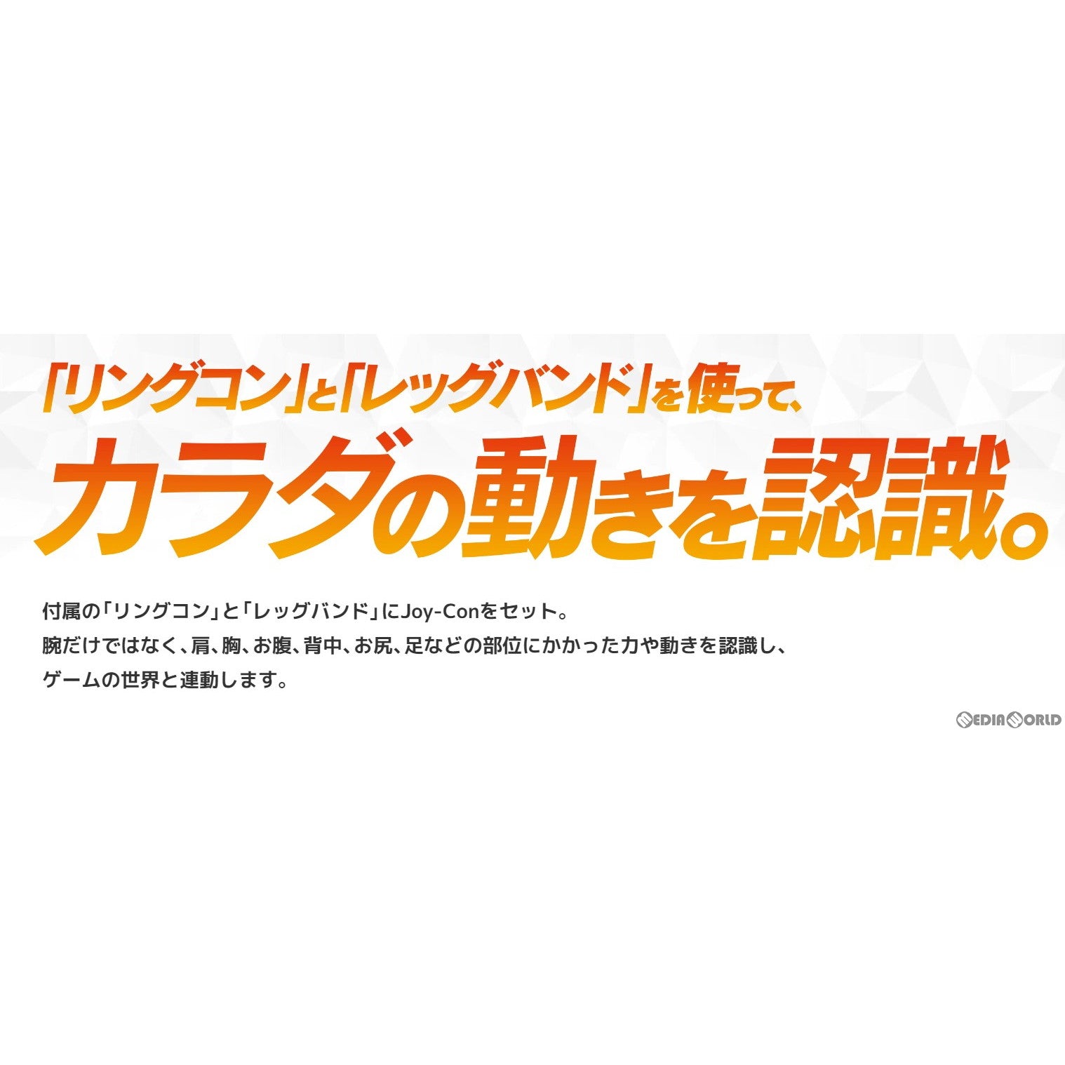 【新品即納】[Switch]リングフィット アドベンチャー(Ring Fit Adventure) 任天堂 (20191018)