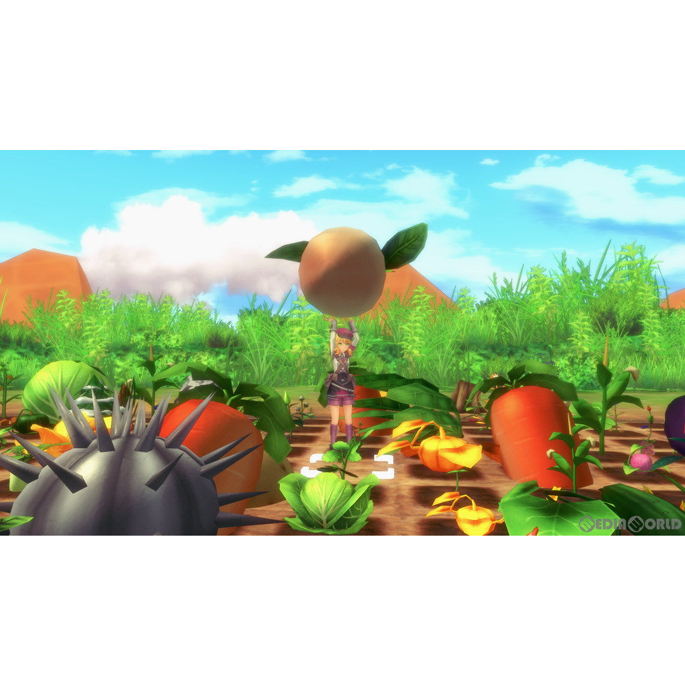【中古即納】[お得品][表紙説明書なし][Switch]ルーンファクトリー5(Rune Factory 5) プレミアムボックス(限定版) マーベラス (20210520)