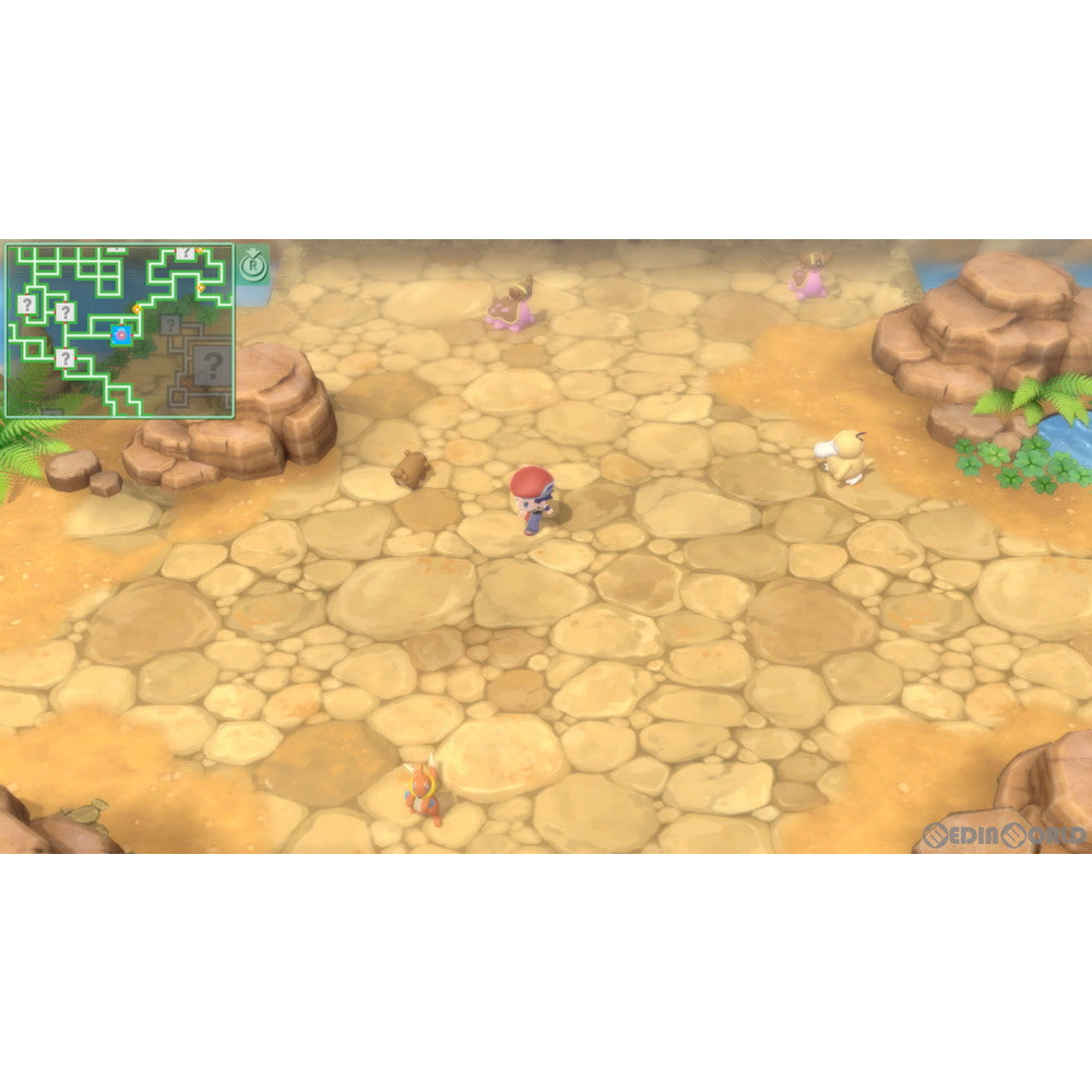 【新品即納】[Switch]『ポケットモンスター ブリリアントダイヤモンド・シャイニングパール』ダブルパック(限定版) 任天堂 (20211119)