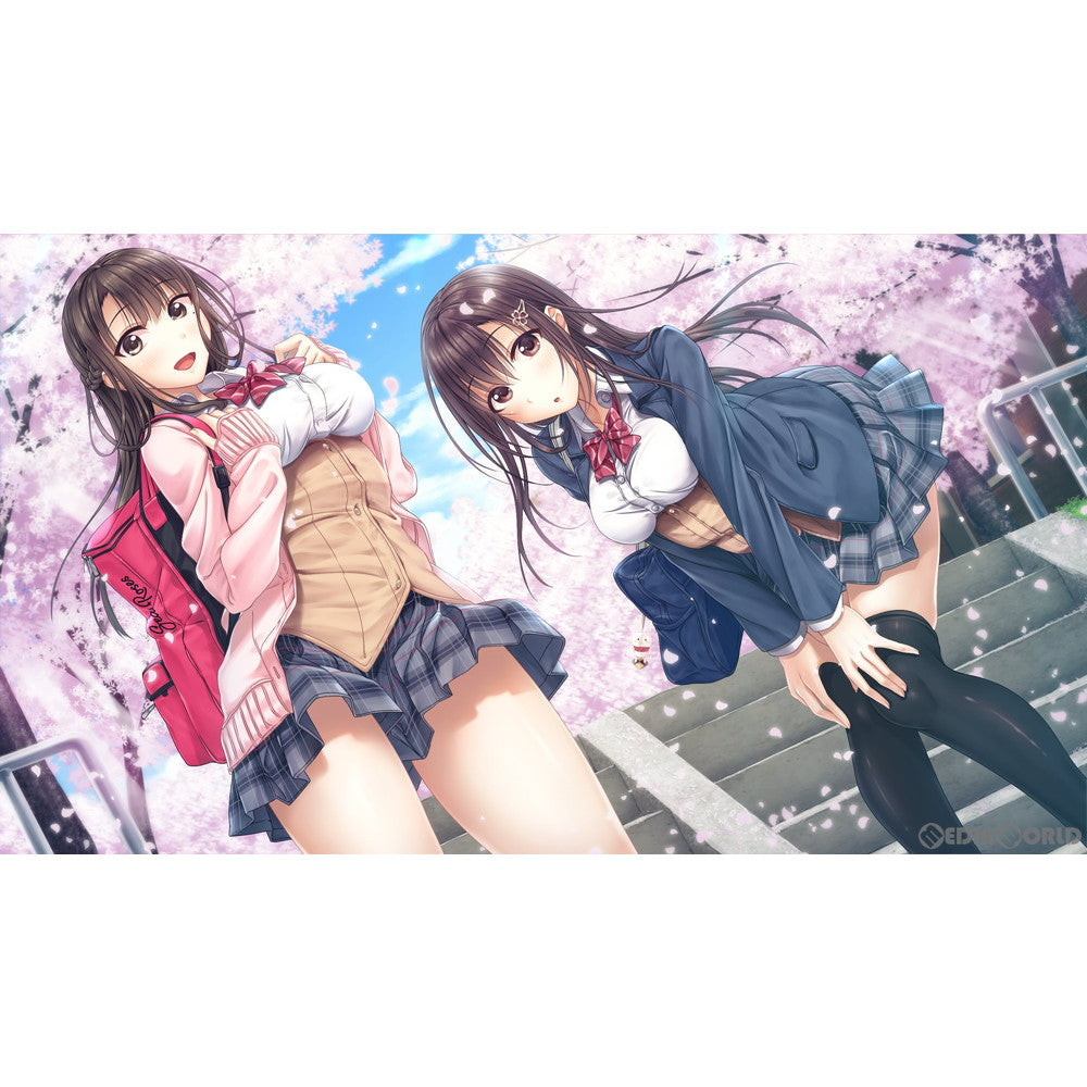 【中古即納】[Switch]アイキス(AIKISS Just the way you are. We can understand each other surely.) 通常版 エンターグラム (20211223)