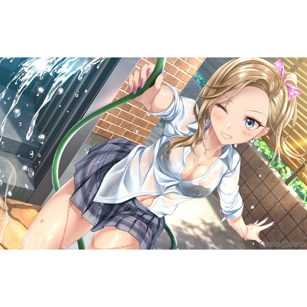 【中古即納】[Switch]アイキス3 Cute(AIKISS 3 キュート) 通常版 エンターグラム (20220325)
