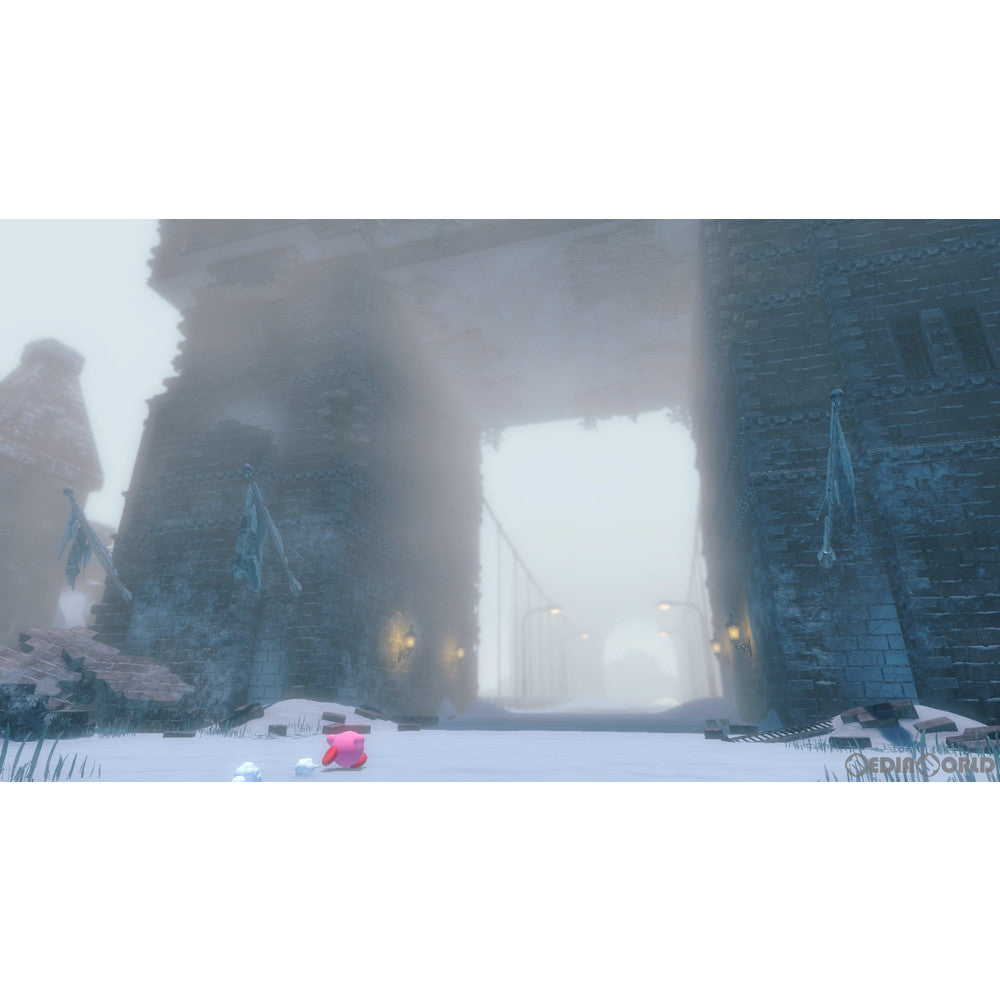 【新品即納】[Switch]星のカービィ ディスカバリー 任天堂 (20220325)