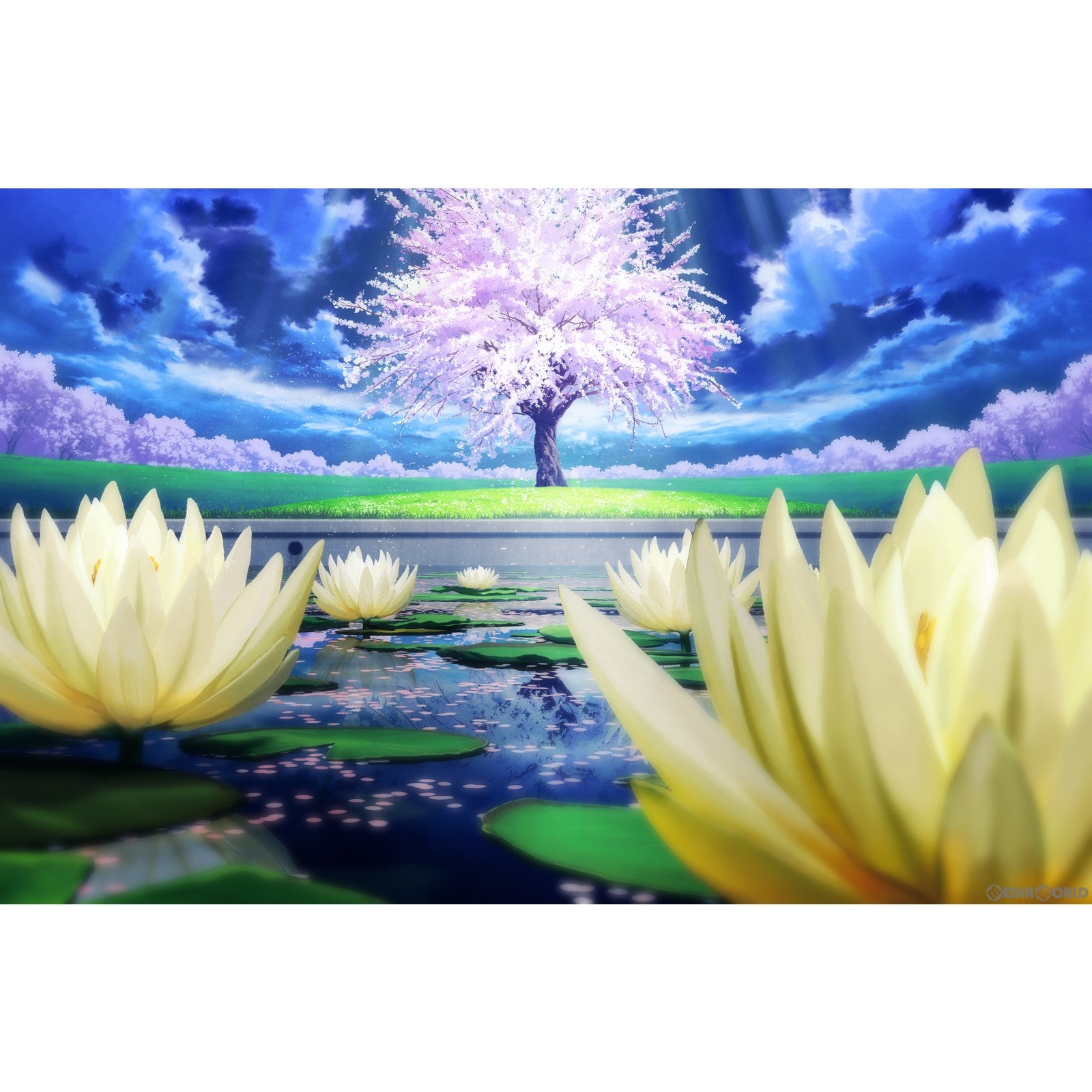 【新品即納】[Switch]Re:LieF(レリーフ) ～親愛なるあなたへ～ FoR SwitcH(フォー スイッチ) 通常版 iMel (20220728)