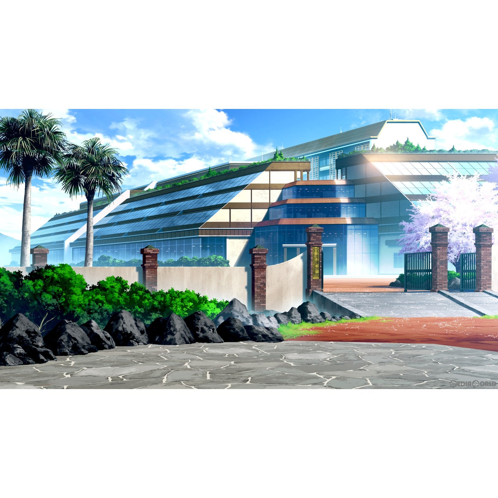 【中古即納】[Switch]Re:LieF(レリーフ) ～親愛なるあなたへ～ FoR SwitcH(フォー スイッチ) 通常版 iMel (20220728)