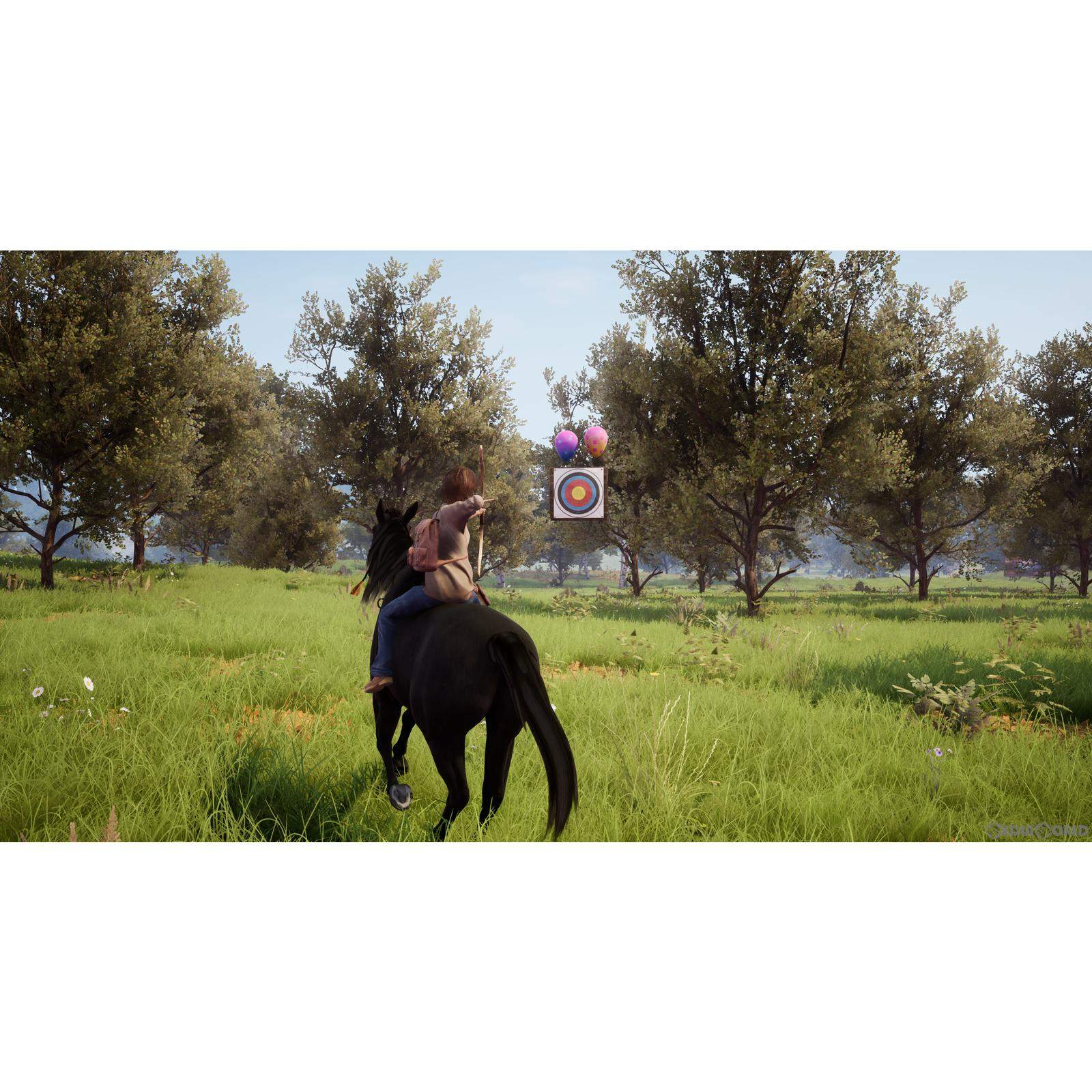 【新品即納】[Switch]ウィンドストーム ザ・コレクション(Windstorm The Collection) 4Divinity (20221201)