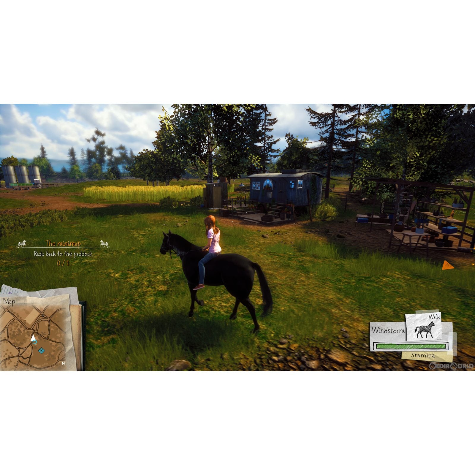 【新品即納】[Switch]ウィンドストーム ザ・コレクション(Windstorm The Collection) 4Divinity (20221201)