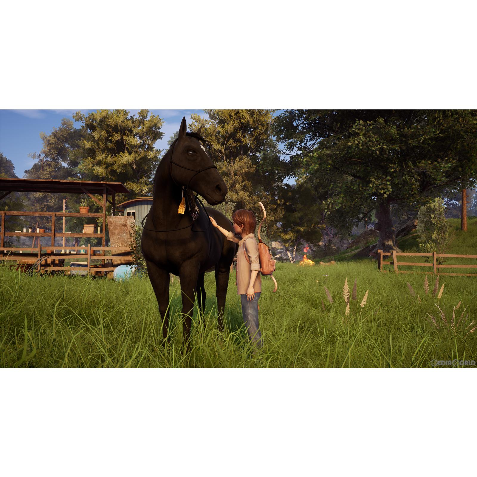 【新品即納】[Switch]ウィンドストーム ザ・コレクション(Windstorm The Collection) 4Divinity (20221201)