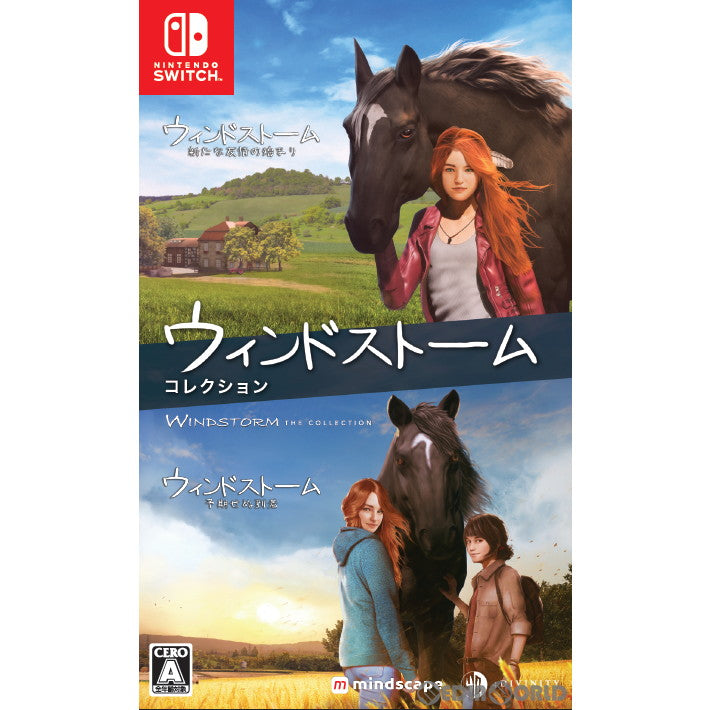 【中古即納】[Switch]ウィンドストーム ザ・コレクション(Windstorm The Collection) 4Divinity (20221201)