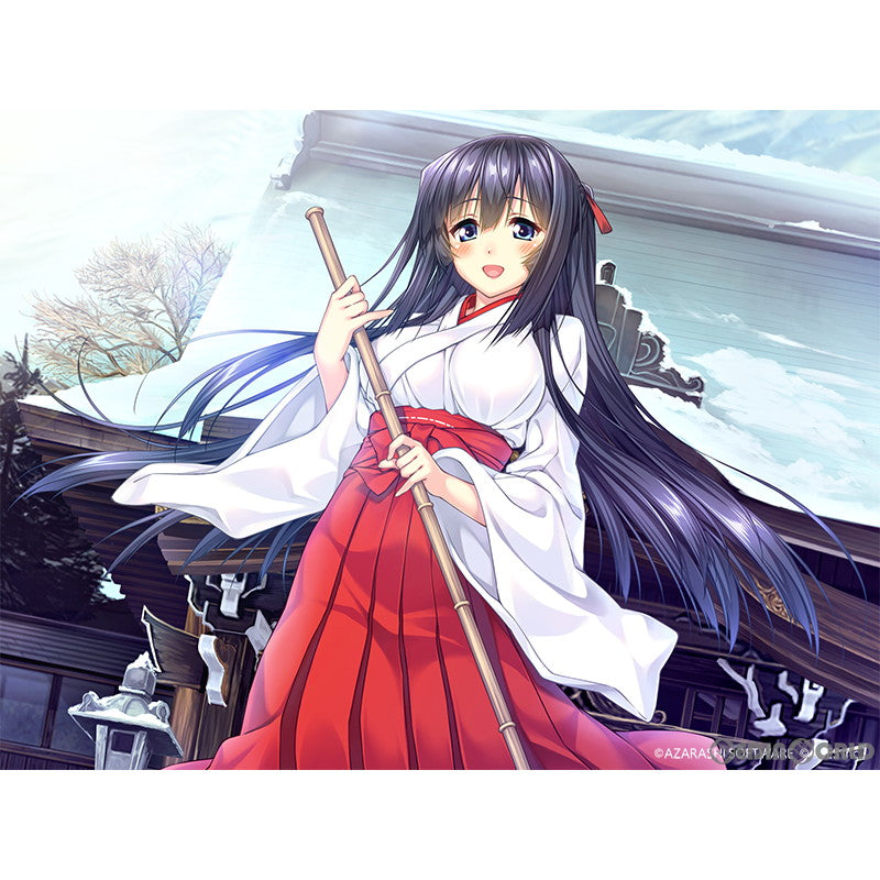 【中古即納】[Switch]アマカノ AMAKANO アレス (20221124)