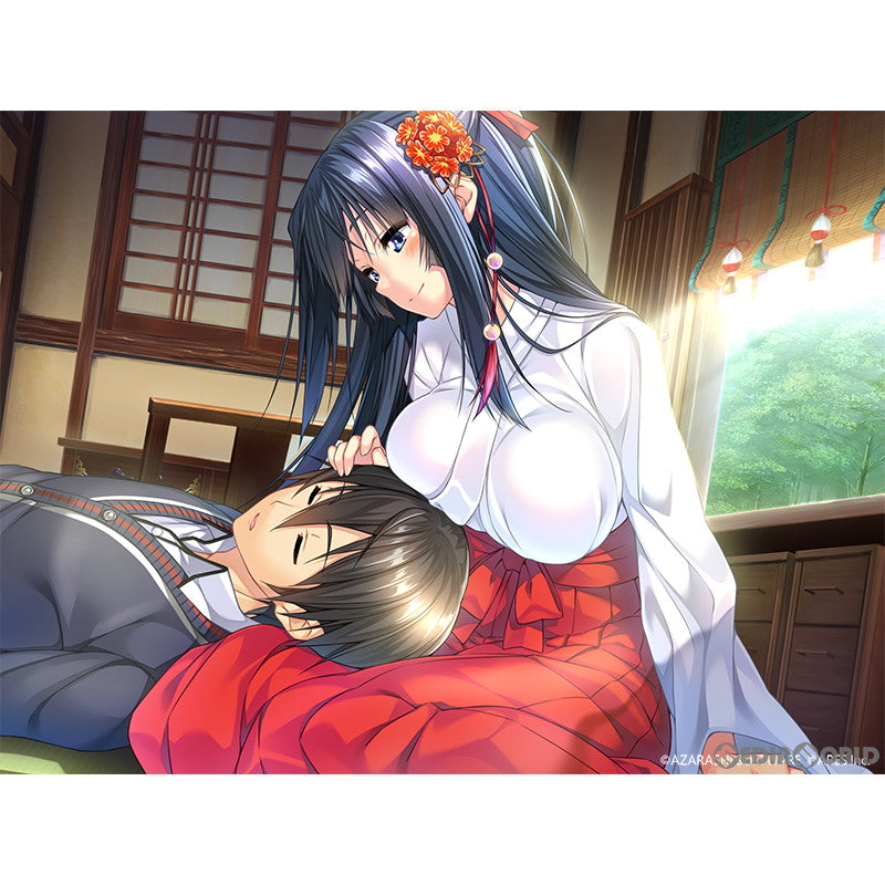 【中古即納】[Switch]アマカノ AMAKANO アレス (20221124)