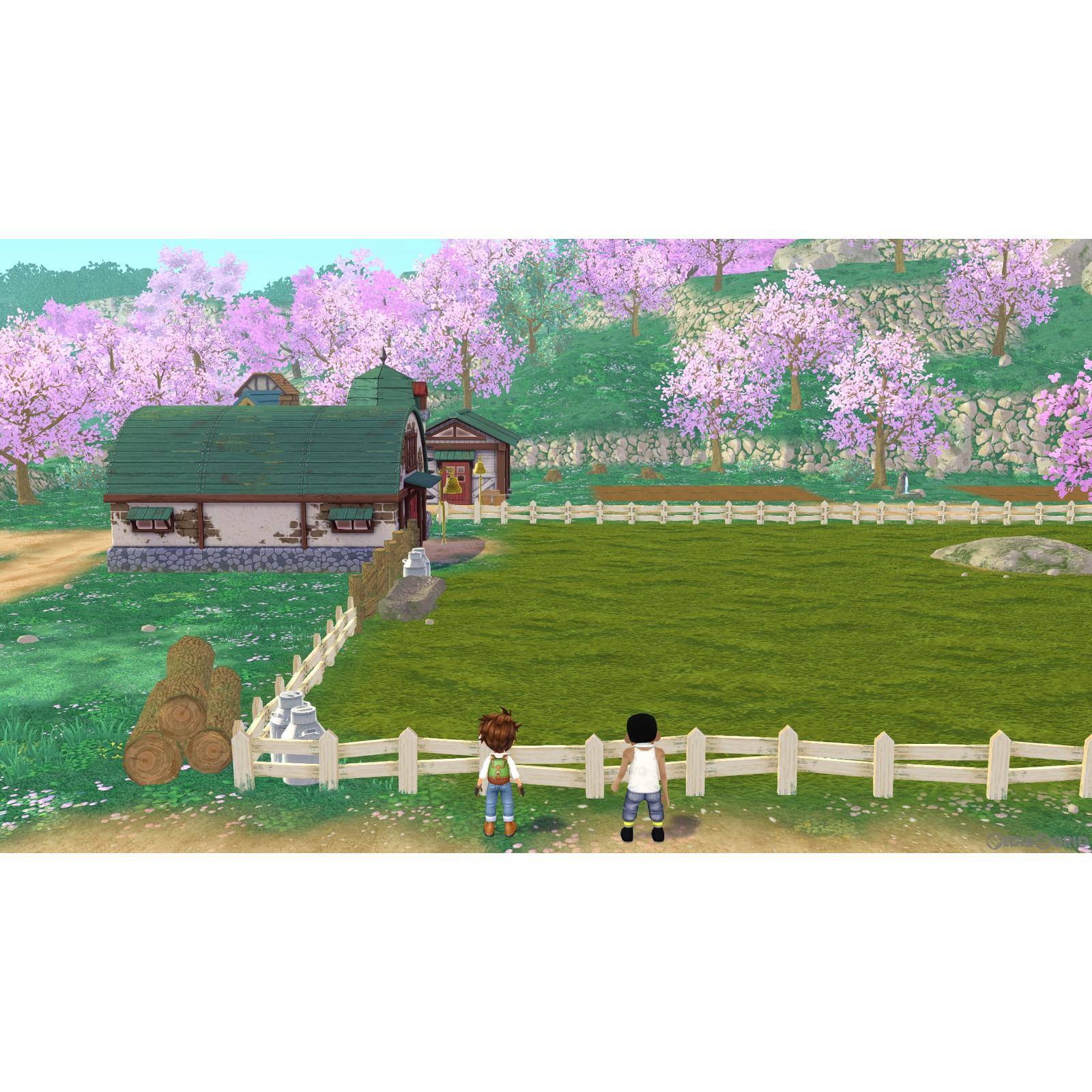 【新品即納】[Switch]牧場物語 Welcome！ワンダフルライフ マーベラス (20230126)