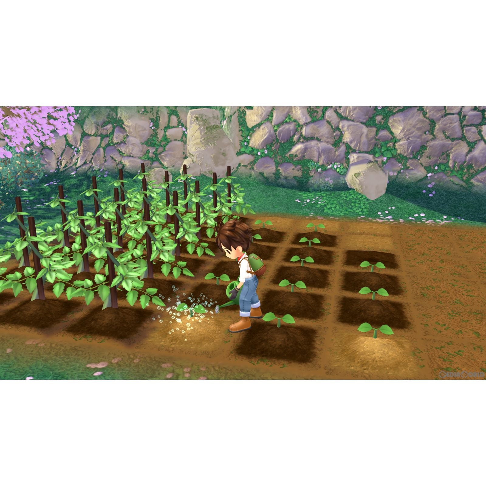 【新品即納】[Switch]牧場物語 Welcome！ワンダフルライフ マーベラス (20230126)