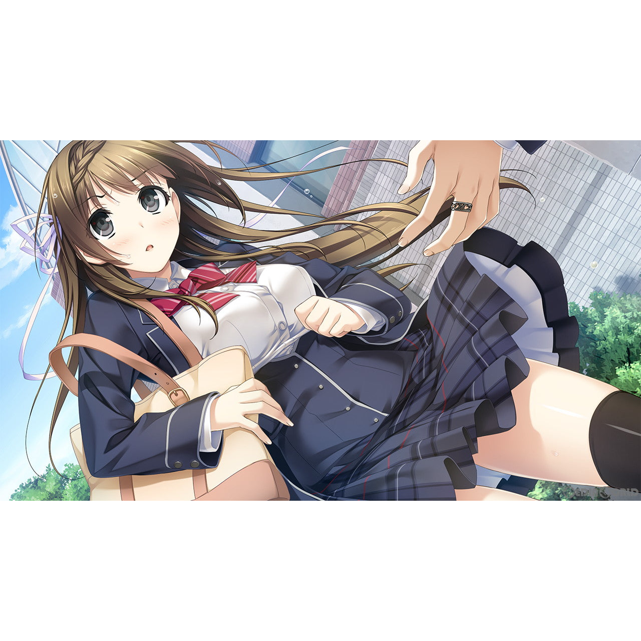 【中古即納】[Switch]ハルキス When did you know your ture heart? 完全生産限定版 エンターグラム (20230126)