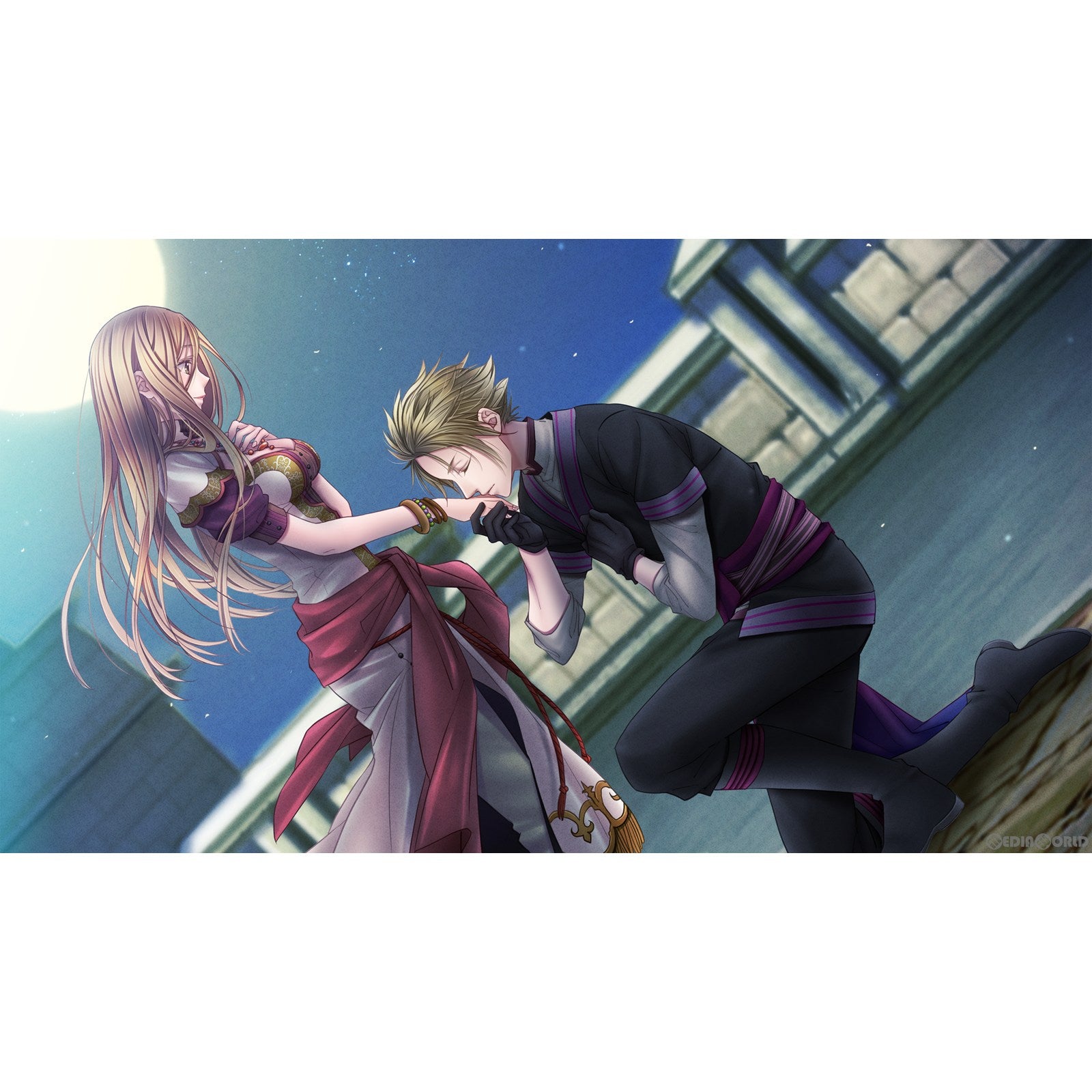 【中古即納】[Switch]越えざるは紅い花～対の月～ dramatic create (20230223)