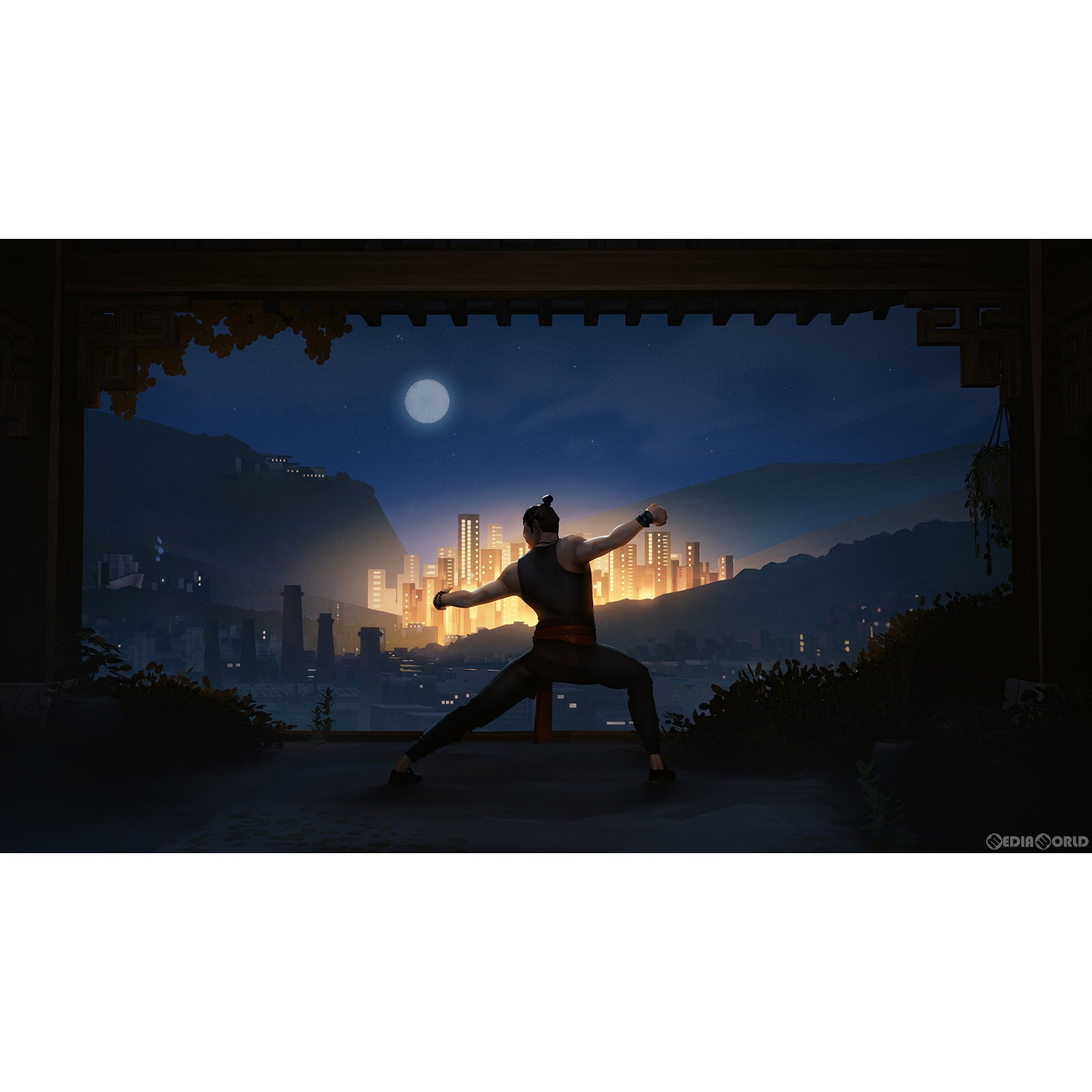 【新品即納】[Switch]Sifu(シフ) H2 INTERACTIVE (20221201)