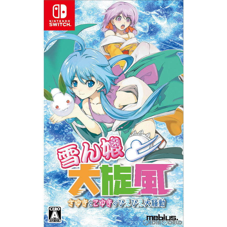 【中古即納】[Switch]雪ん娘大旋風(ゆきんこだいせんぷう) ～さゆきとこゆきのひえひえ大騒動～ メビウス (20230119)