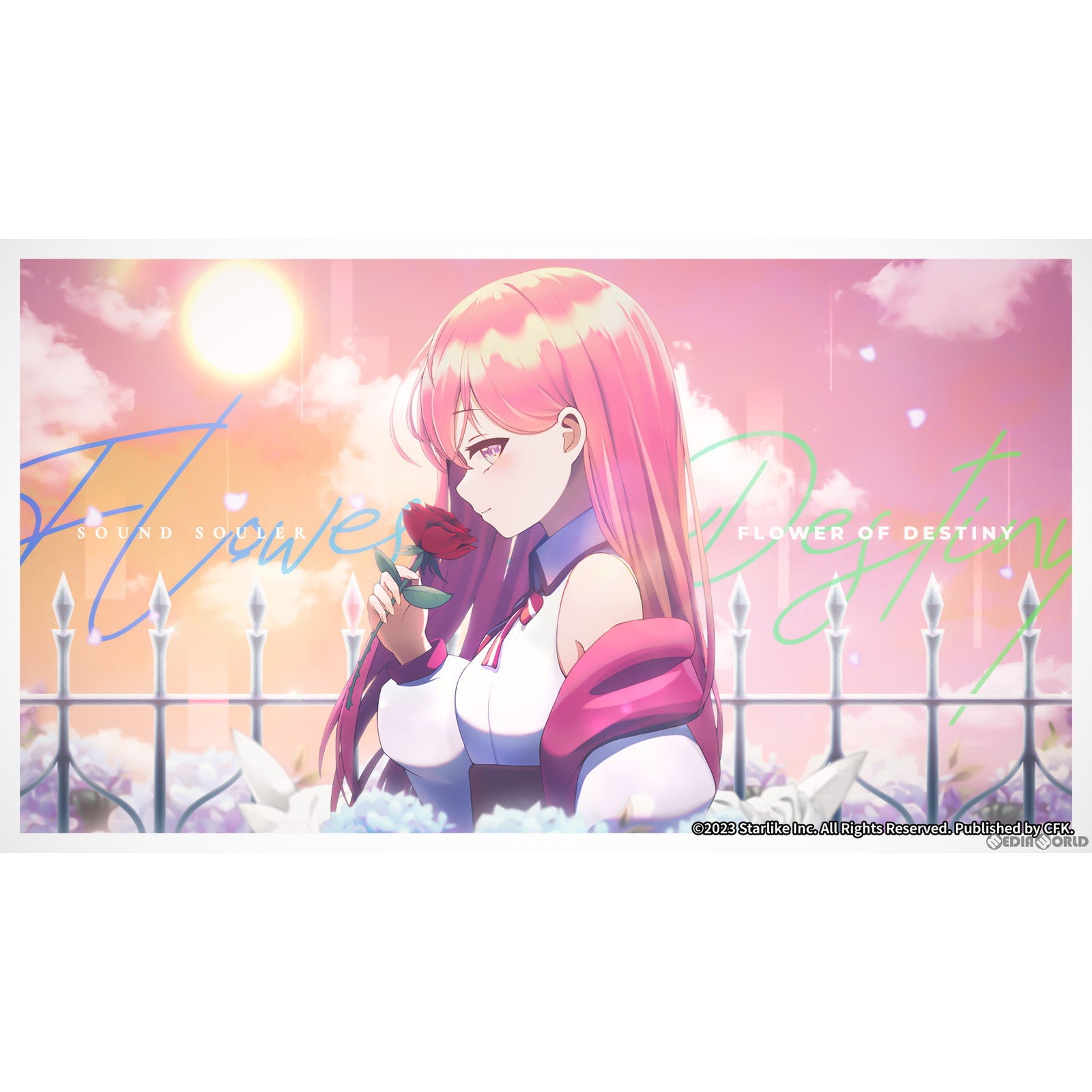 【新品即納】[Switch]Sixtar Gate: STARTRAIL(シクスターゲート・スタートレール) 初回限定版 CFK (20230316)