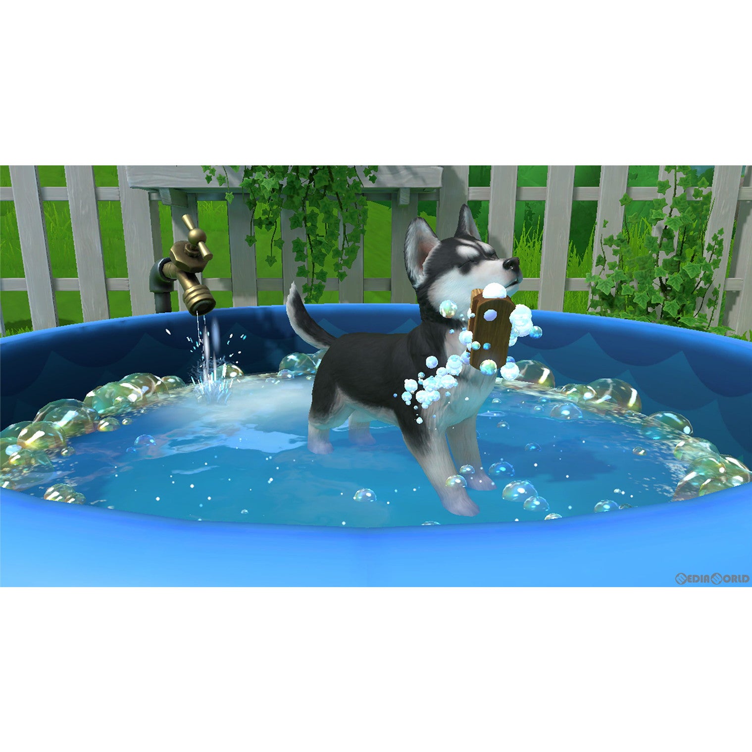 【中古即納】[Switch]LITTLE FRIENDS ～PUPPY ISLAND～(リトルフレンズ・パピーアイランド) イマジニア (20230706)