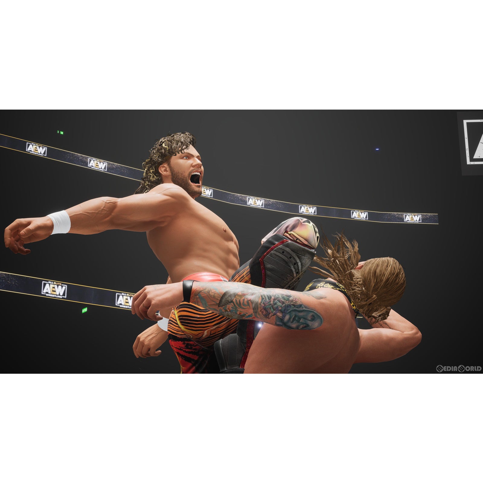 【中古即納】[Switch]AEW: Fight Forever(オール・エリート・レスリング：ファイトフォーエバー)(20230810)