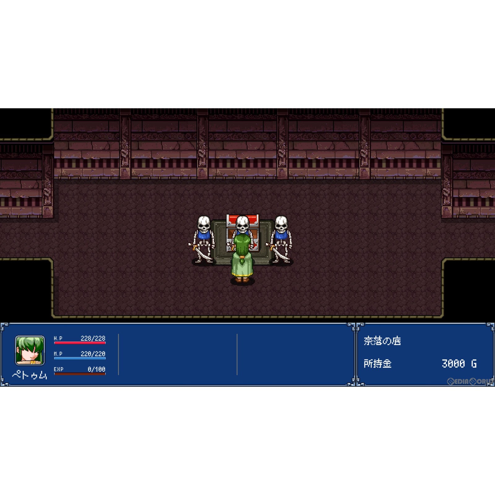 【中古即納】[Switch]幻世酔虎伝 プラス(げんせいすいこでん+) 通常版 DAEWON MEDIA (20231130)
