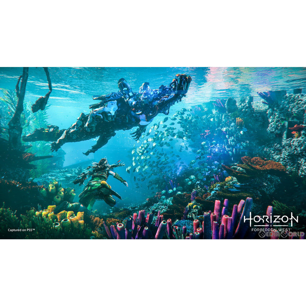 【中古即納】[PS5]Horizon Forbidden West(ホライゾン フォービドゥン ウエスト) コレクターズエディション(限定版) ソニー・インタラクティブエンタテインメント (20220218)