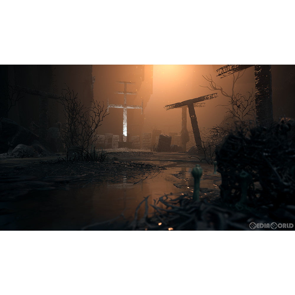 【新品即納】[PS5]The Medium -霊-(ザ・ミディアム) ナツメアタリ (20220310)
