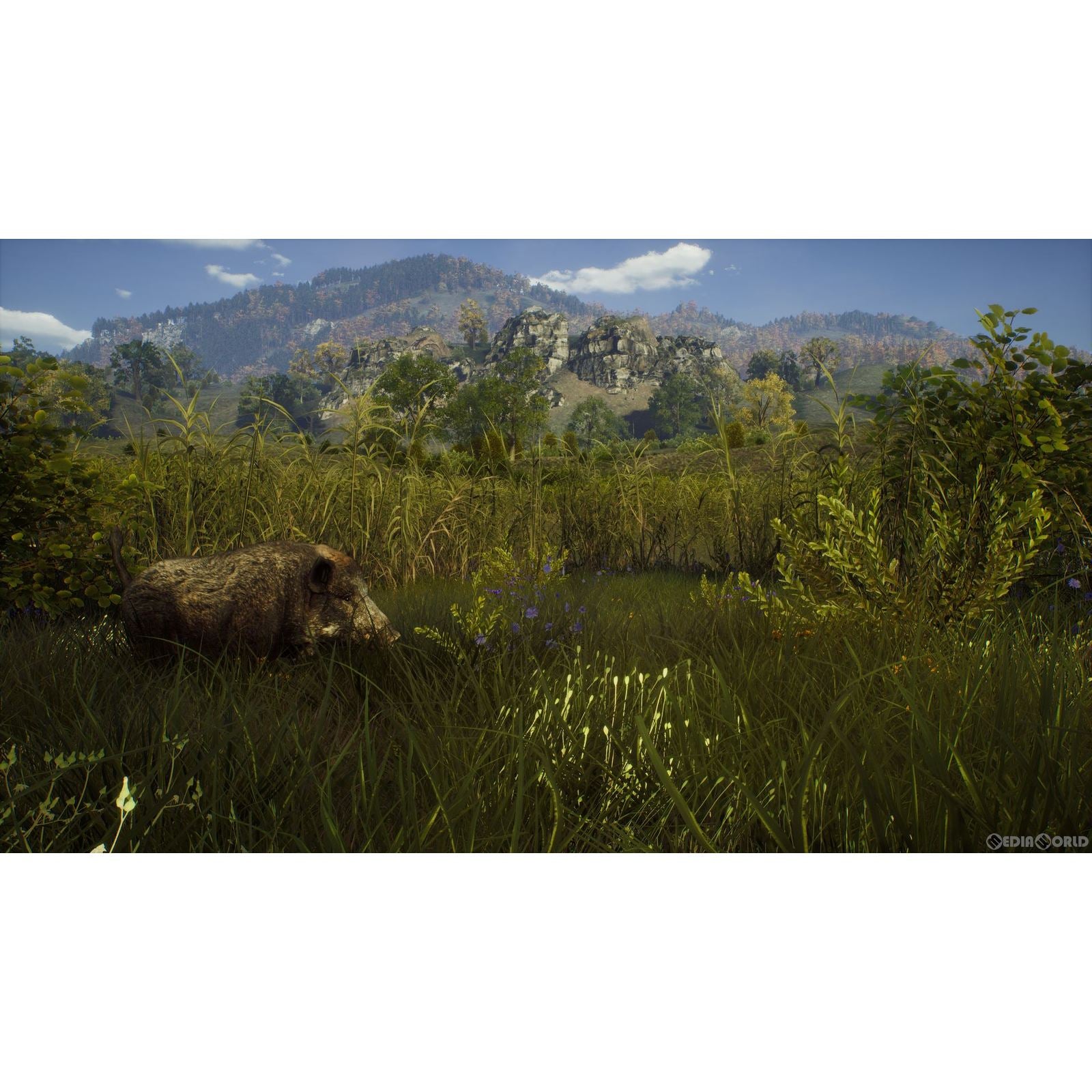 【新品即納】[PS5]ウェイ オブ ザ ハンター(Way of the Hunter) THQ Nordic (20220908)