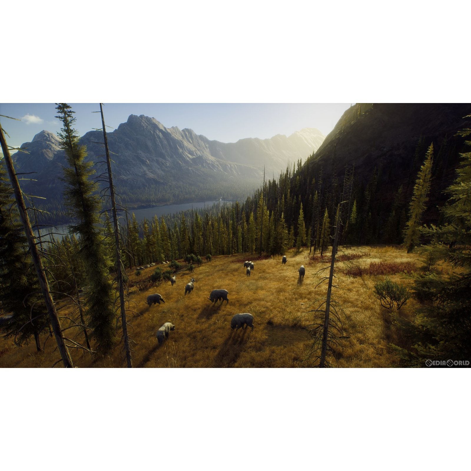 【新品即納】[PS5]ウェイ オブ ザ ハンター(Way of the Hunter) THQ Nordic (20220908)