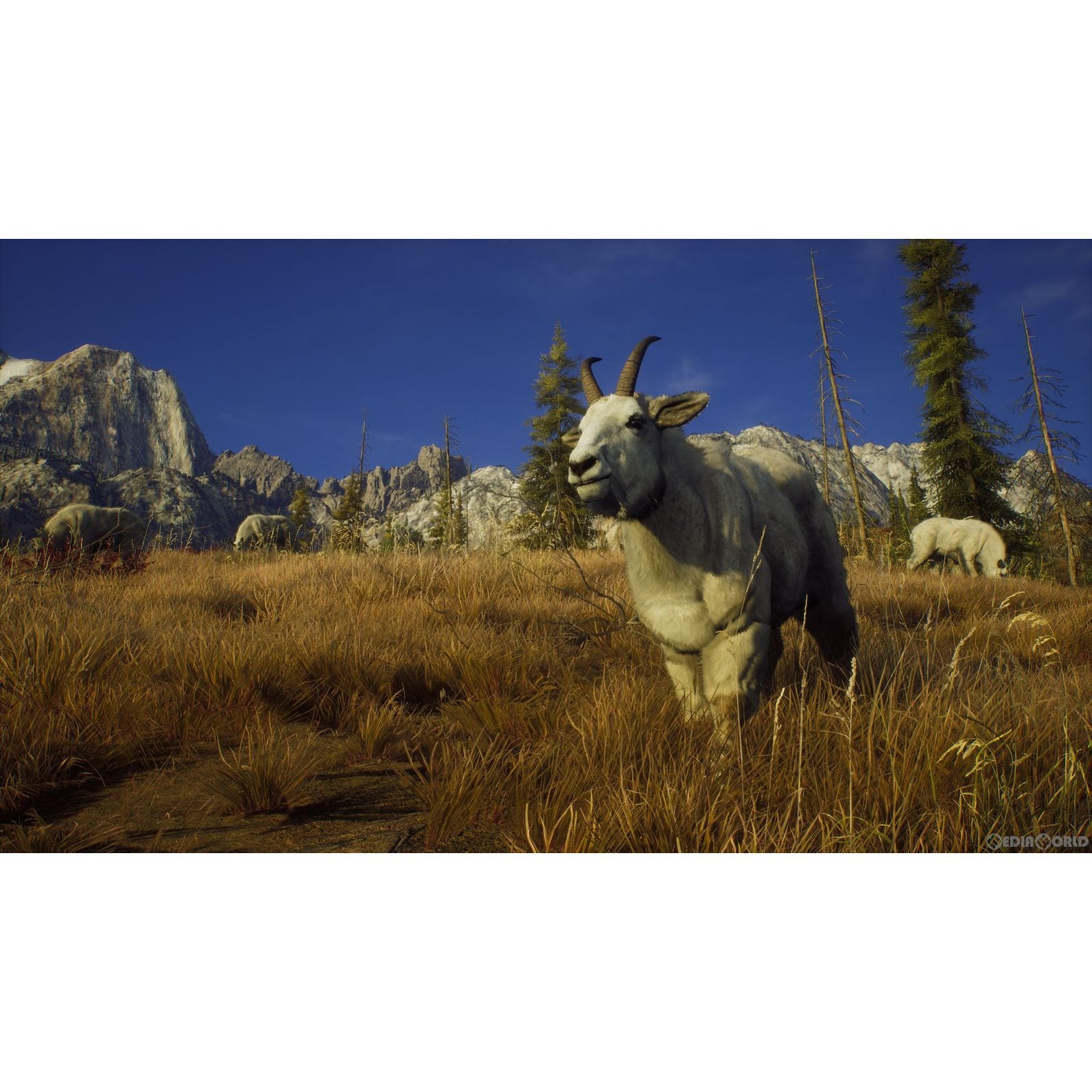 【新品即納】[PS5]ウェイ オブ ザ ハンター(Way of the Hunter) THQ Nordic (20220908)