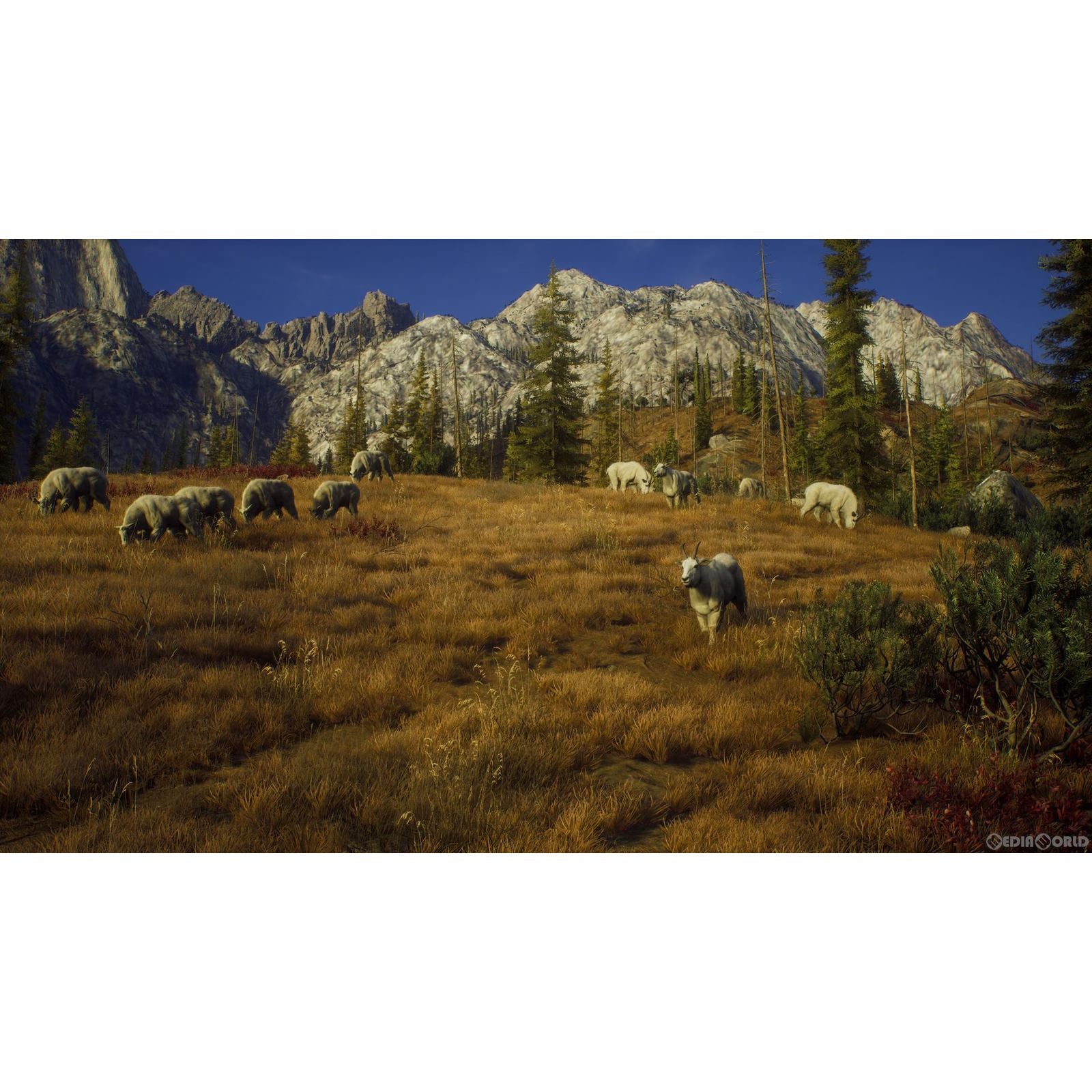 【中古即納】[PS5]ウェイ オブ ザ ハンター(Way of the Hunter) THQ Nordic (20220908)