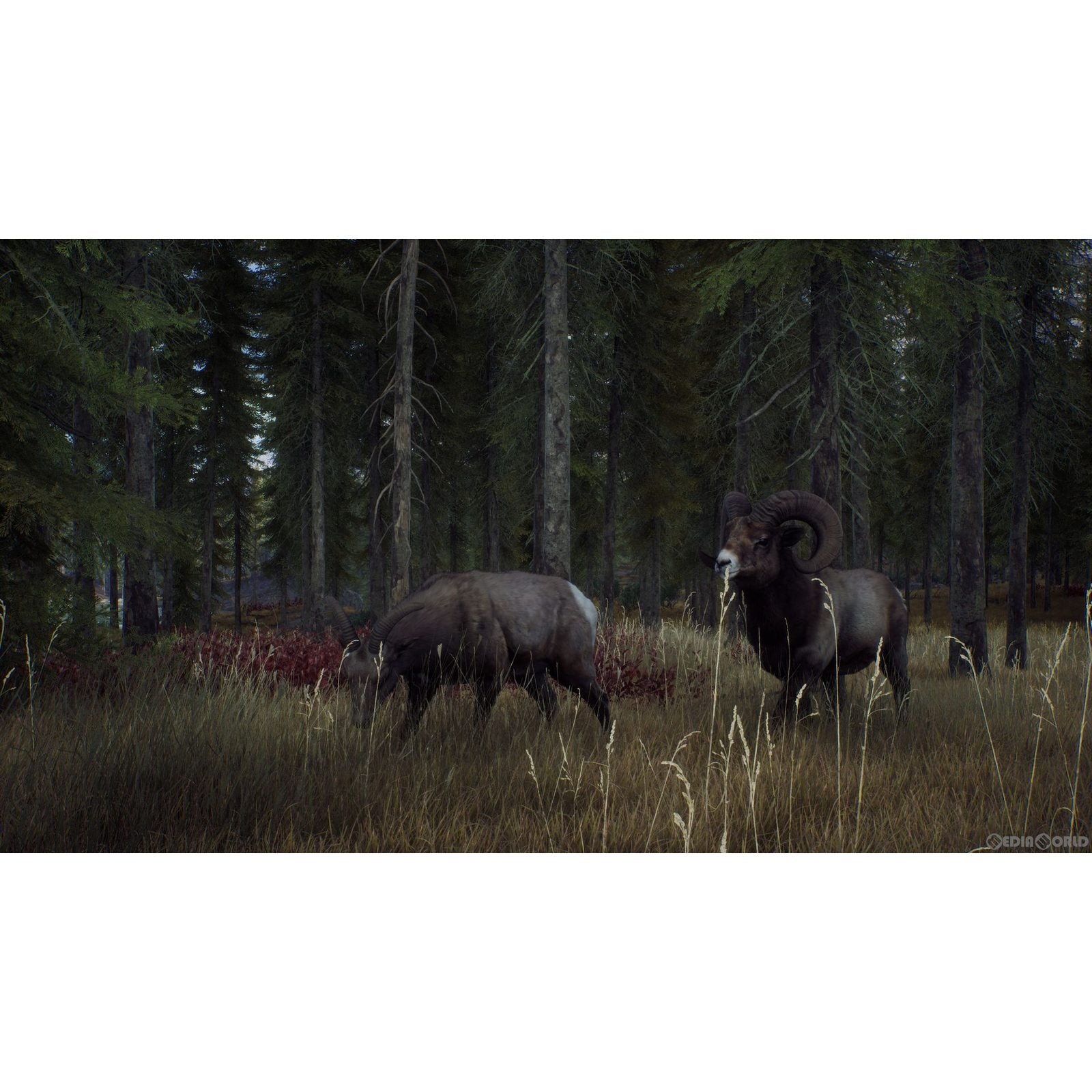 【中古即納】[PS5]ウェイ オブ ザ ハンター(Way of the Hunter) THQ Nordic (20220908)