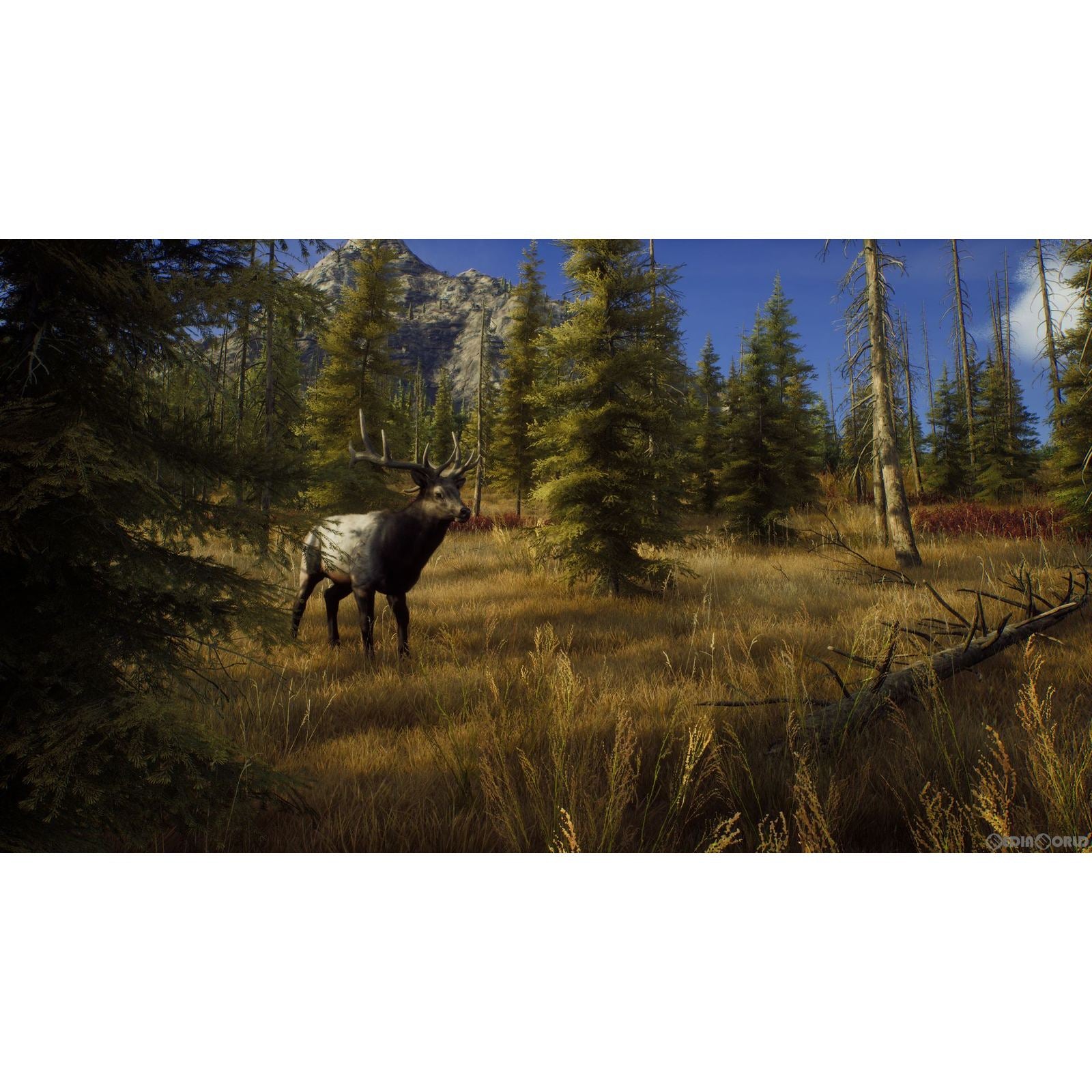 【新品即納】[PS5]ウェイ オブ ザ ハンター(Way of the Hunter) THQ Nordic (20220908)