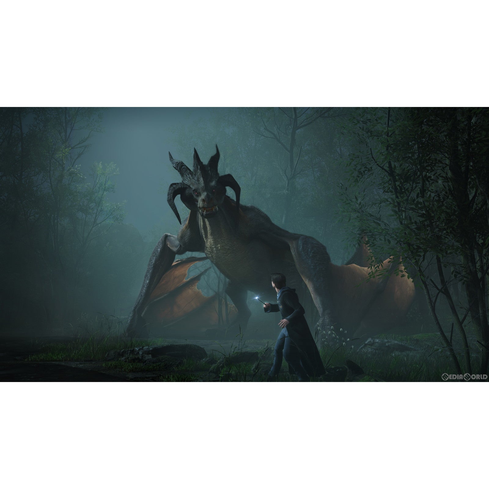 【新品即納】[PS5]ホグワーツ・レガシー(Hogwarts Legacy) 通常版 WB Games (20230210)