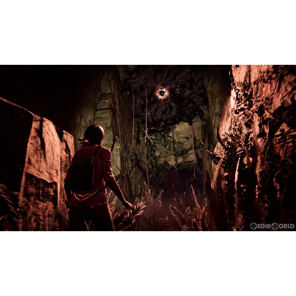 【新品即納】[PS5]The Chant(ザ チャント) PLAION (20230330)