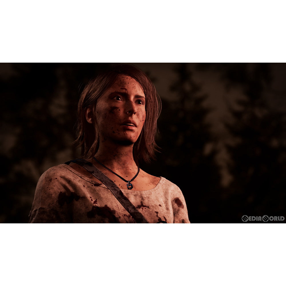 【新品即納】[PS5]The Chant(ザ チャント) PLAION (20230330)