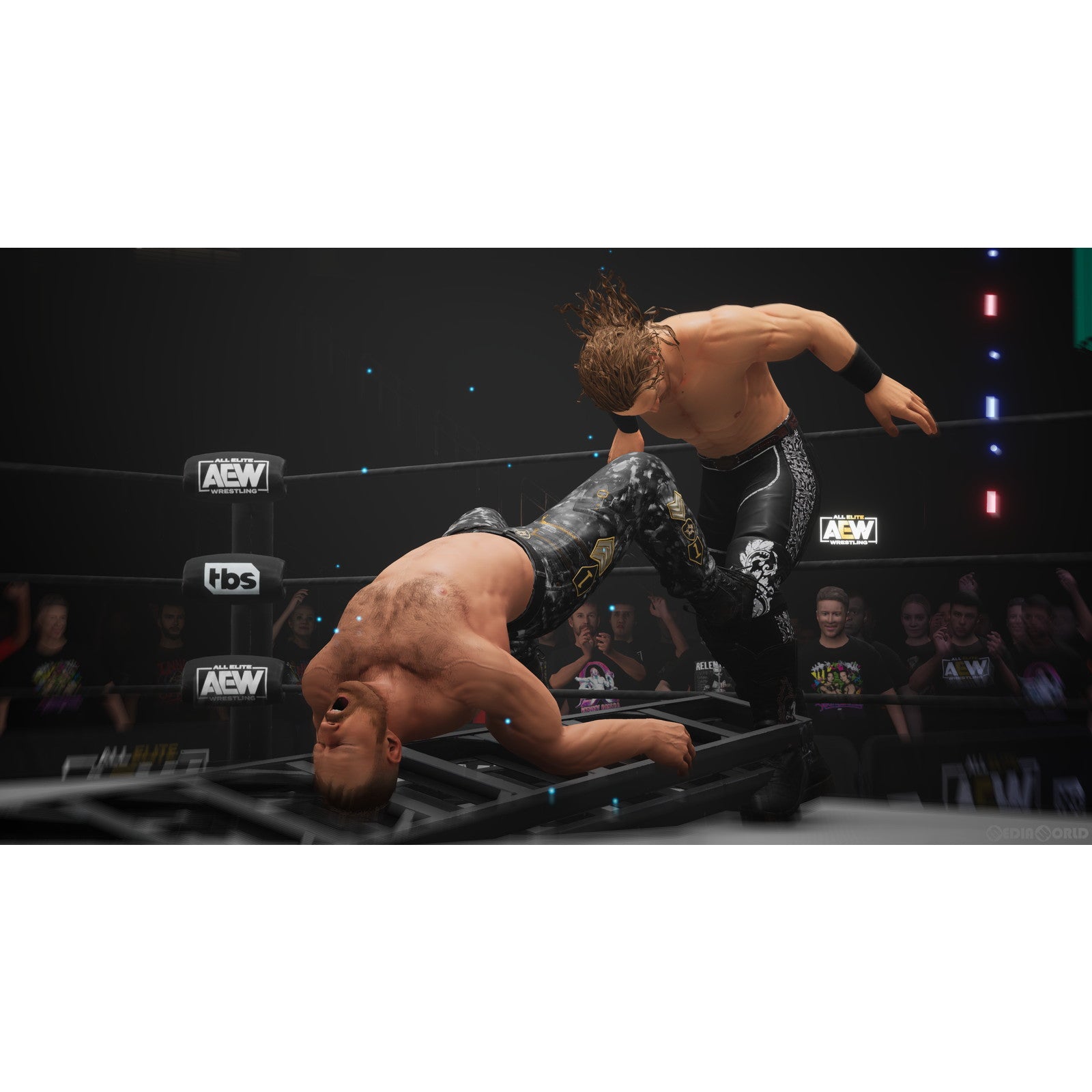 【新品即納】[PS5]AEW: Fight Forever(ファイトフォーエバー) THQ Nordic (20230629)