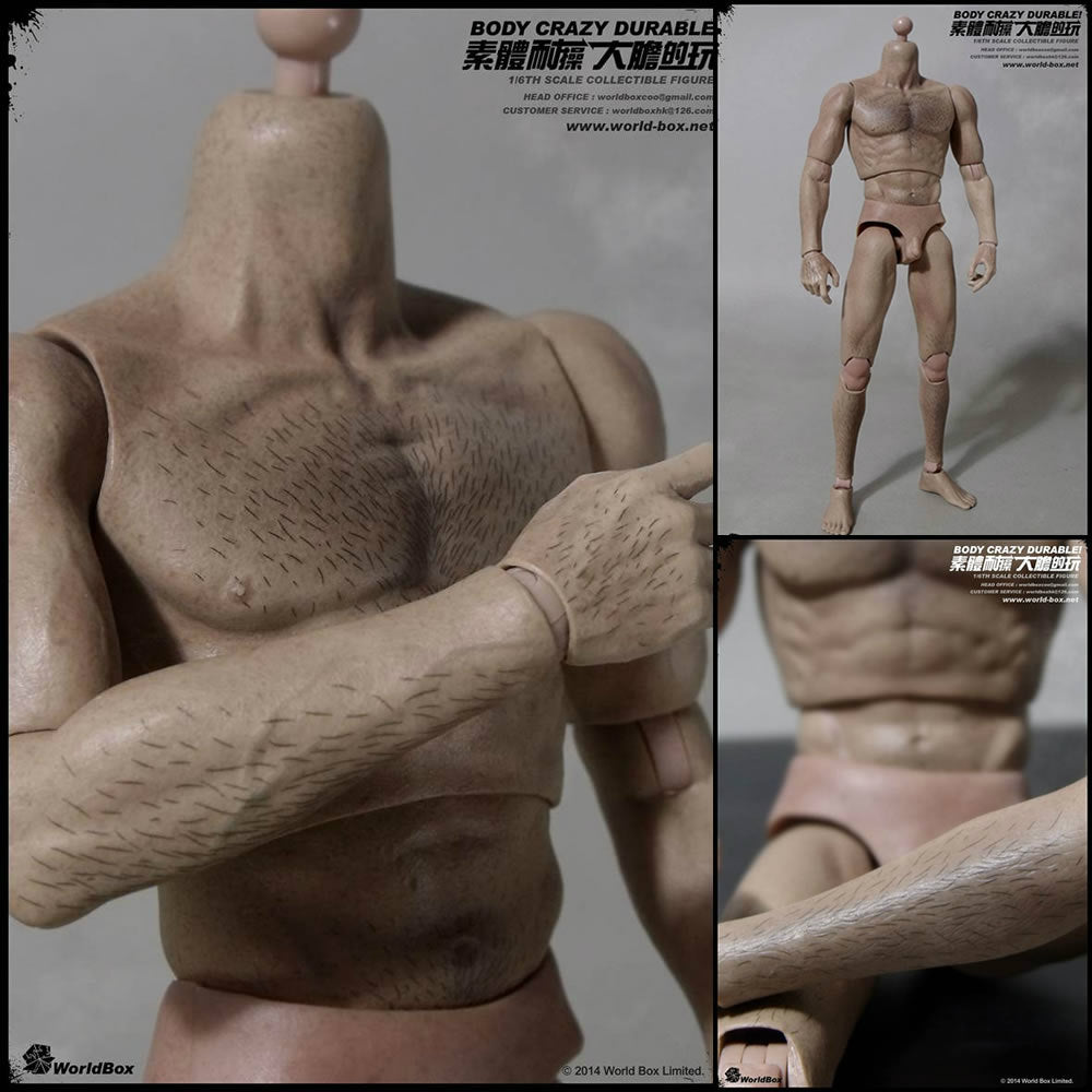 【新品即納】[FIG] 1/6 男性素体 2.0 体毛ペイント ドール ワールドボックス(20160625)