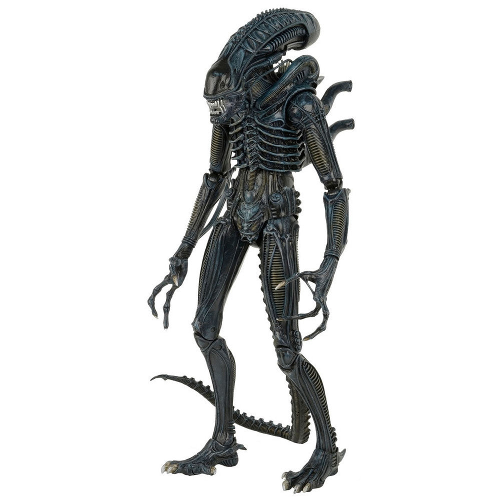 【新品即納】[FIG] エイリアン2/ エイリアン・ウォーリアー 1/4 アクションフィギュア ネカ(20160702)