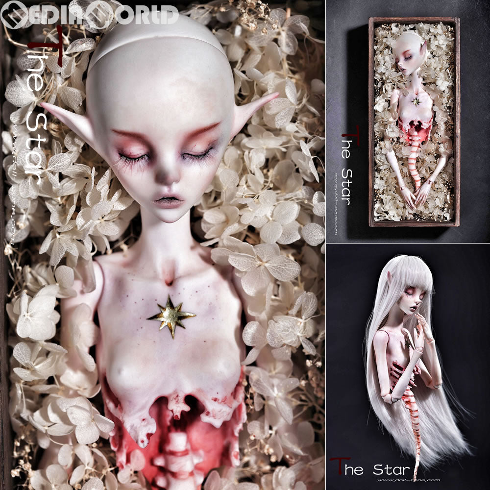 【新品即納】[FIG] The star Fullset(ザ スター フルセット) 完成品 ドール DOLL ZONE(ドールゾーン) (20161130)