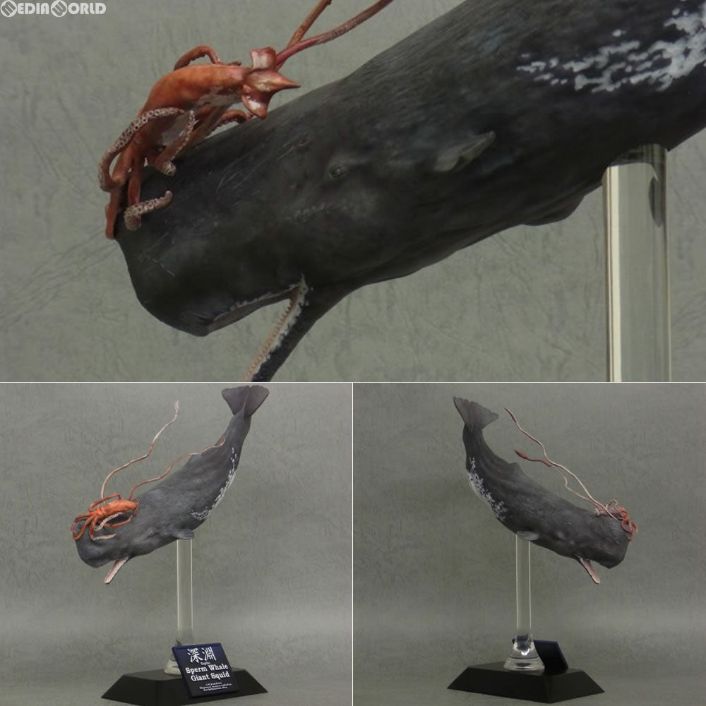 【新品即納】[FIG]ワンダー オブ ワイルドシリーズ マッコウクジラ&ダイオウイカ ポリストーン スタチュー エクスプラス(発売中止)