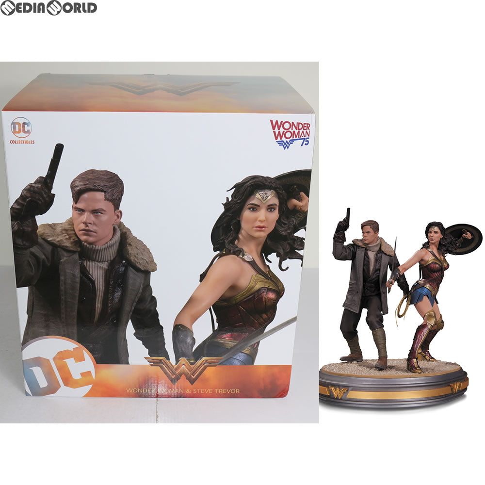 【中古即納】[FIG] DC スタチュー ワンダーウーマン&スティーブ・トレバー フィギュア DCコレクティブルズ(20170430)