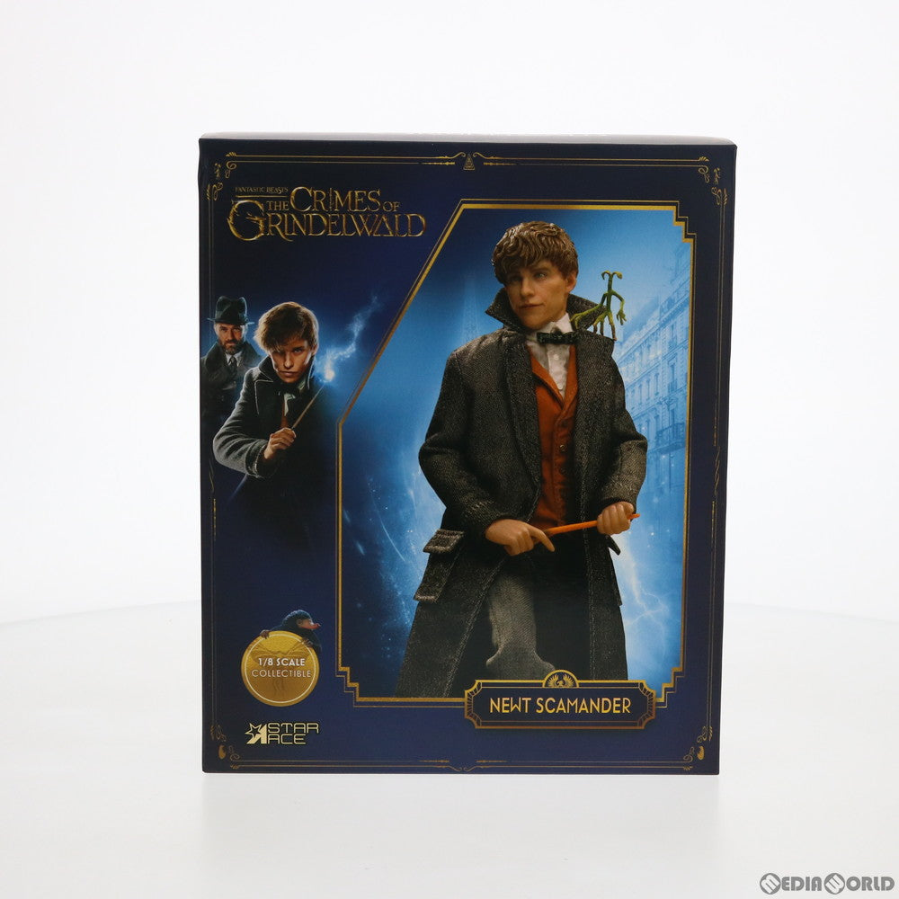 【中古即納】[FIG] リアルマスターシリーズ ニュート・スキャマンダー ファンタスティック・ビーストと黒い魔法使いの誕生 1/8 コレクタブルフィギュア スターエーストイズ/エクスプラス(20201017)