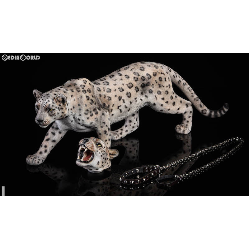 【中古即納】[FIG] 1/6 豹 レオパードホワイト 完成品 フィギュア(JXK009B) JXKスタジオ(20190630)