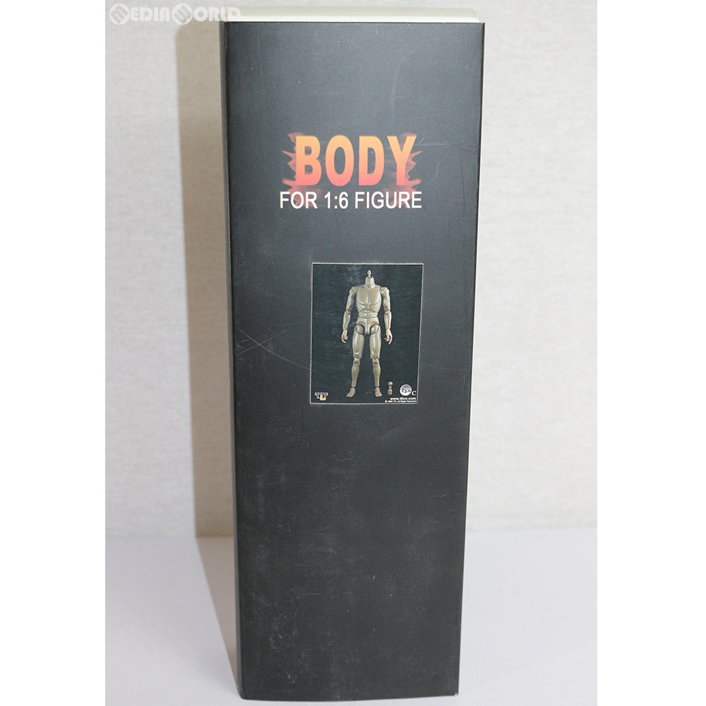 【中古即納】[FIG] 1/6 男性素体 T3.0 男性 ボディ(アフリカンアメリカン) ドール用素体 TTLトイズ(20100930)