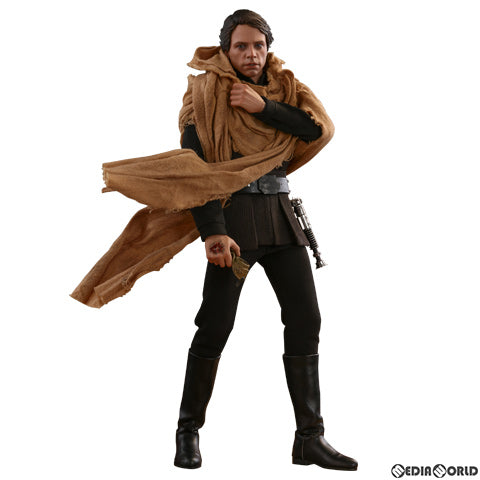 【中古即納】[FIG] トイサピエンス限定 ムービー・マスターピース ルーク・スカイウォーカー(エンドア版) [ボーナスアクセサリー付き] STAR WARS(スター・ウォーズ) エピソード6/ジェダイの帰還 1/6 完成品 可動フィギュア(MM#517) ホットトイズ(20191231)