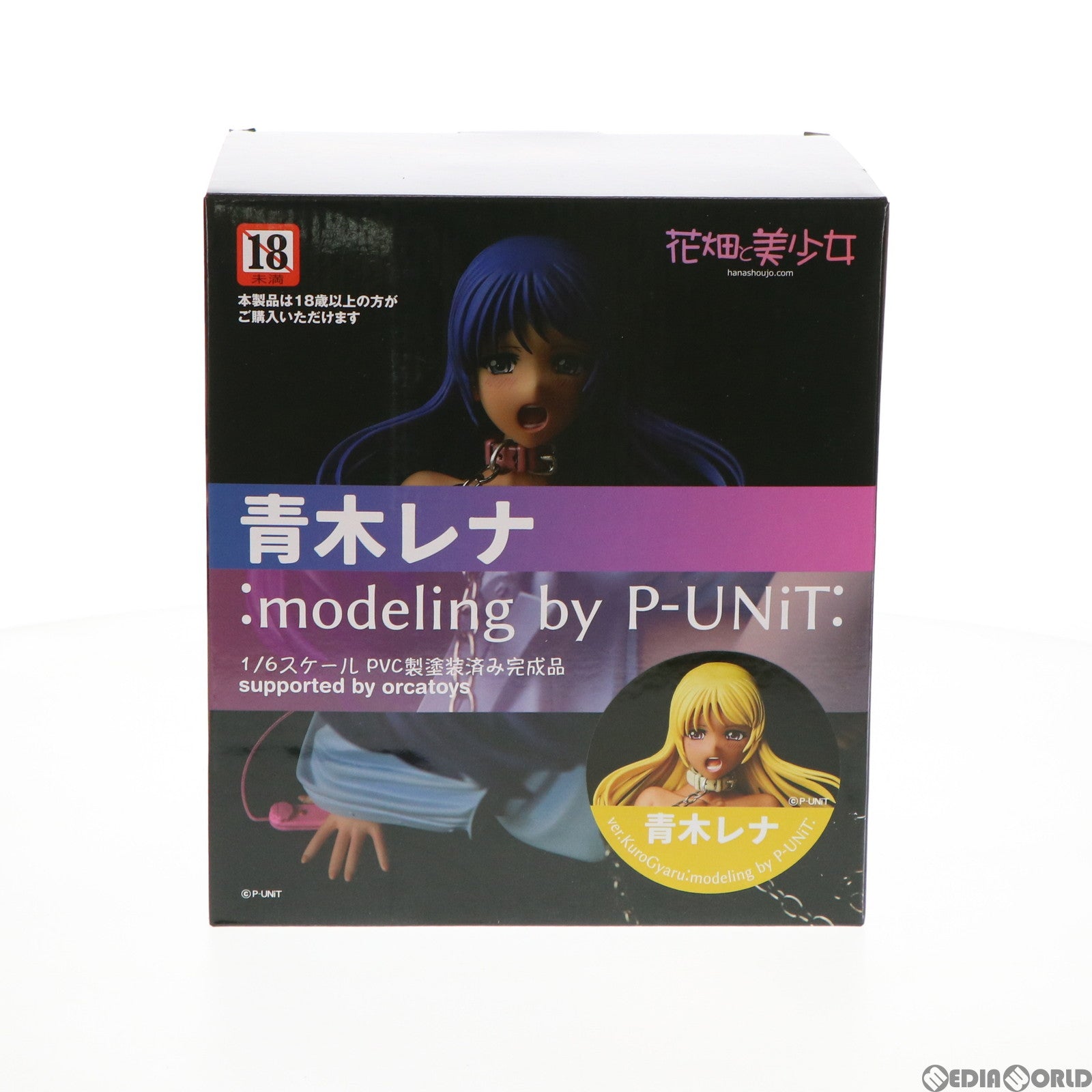 【中古即納】[FIG]青木レナver.KuroGyaru:modeling by P-UNiT: 1/6 完成品 フィギュア  花畑と美少女(20211117)