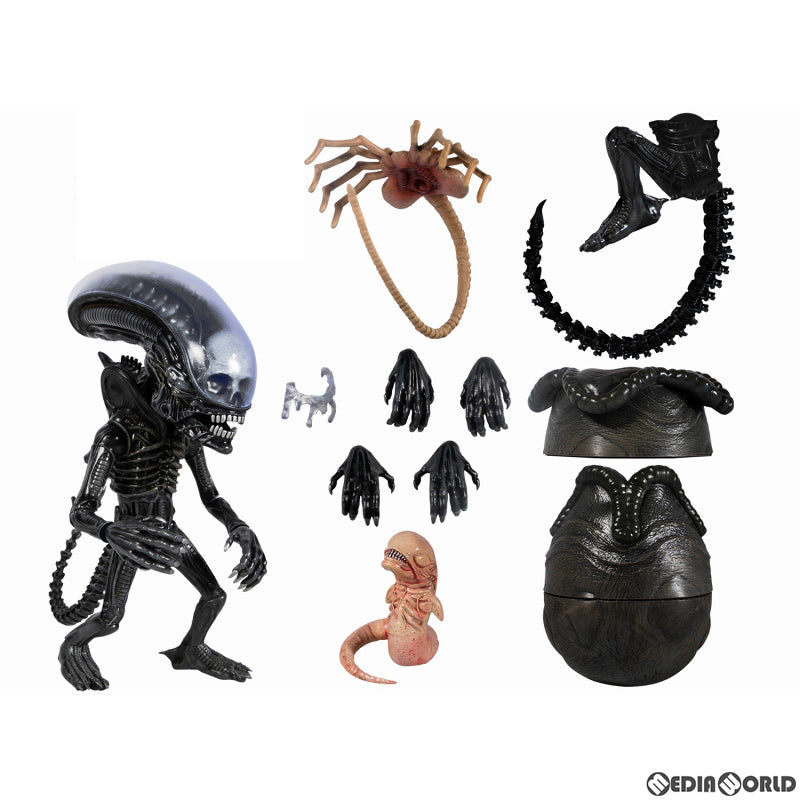 【新品即納】[FIG] MDS デザイナーシリーズ ALIEN エイリアン ビッグチャップ DX 6インチ アクションフィギュア メズコトイズ(20220429)