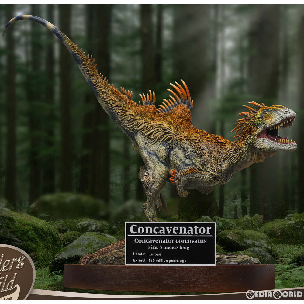 【新品即納】[FIG] ワンダーズ オブ ザ ワイルド コンカヴェナトル ポリレジンスタチュー 完成品 フィギュア スターエーストイズ/エクスプラス(20220609)