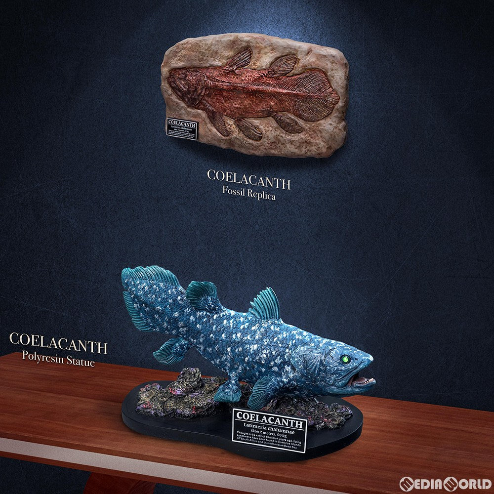【新品即納】[FIG] ワンダーズ オブ ザ ワイルド シーラカンス ポリレジンスタチュー デラックス版 完成品 フィギュア スターエーストイズ/エクスプラス(20220609)