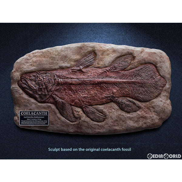スターエース　fossil replica シーラカンス　未開封品 スターエース fossil replica シーラカンス 未開封品 - メルカリ